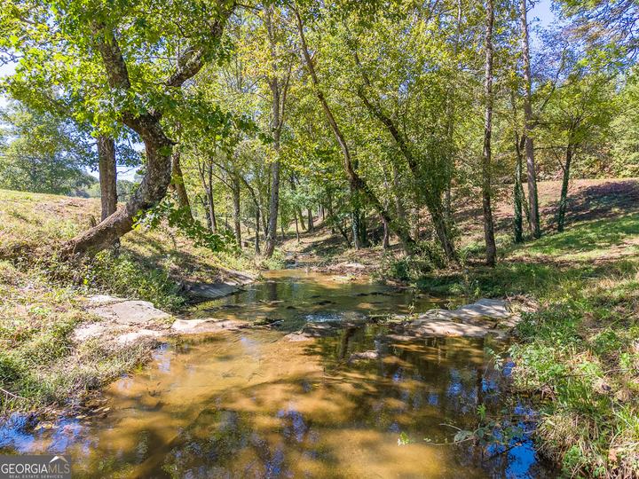7362 Bridge Creek RD, Tiger, GA - Image #39
