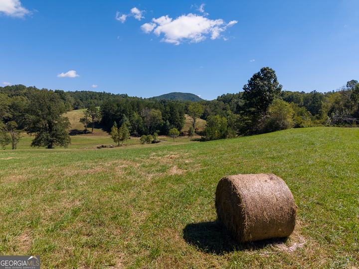 7362 Bridge Creek RD, Tiger, GA - Image #43