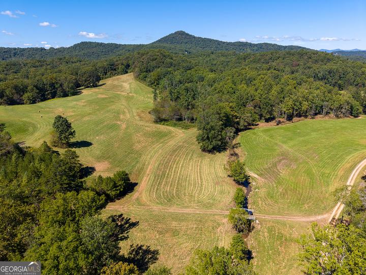 7362 Bridge Creek RD, Tiger, GA - Image #45
