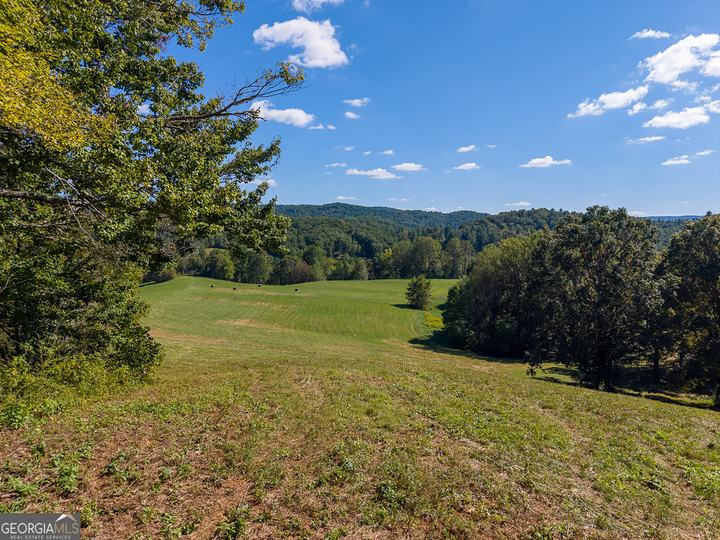 7362 Bridge Creek RD, Tiger, GA - Image #48