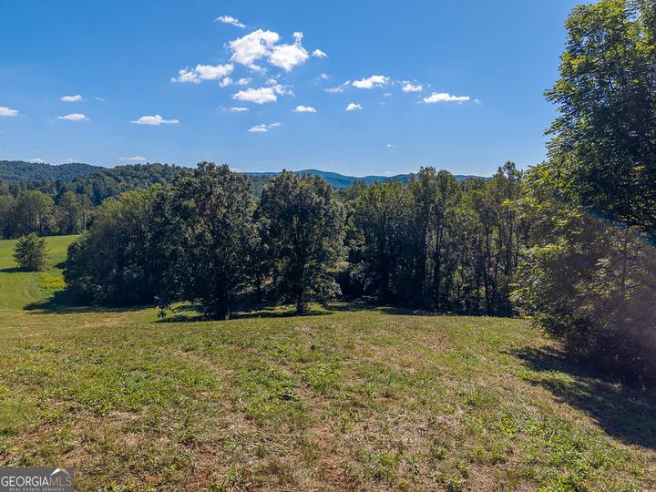 7362 Bridge Creek RD, Tiger, GA - Image #49