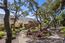 3208 Palmero Way (Image 46)