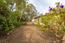176 Sonoma Lane - SOLD (Image 7)