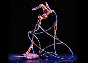 VIVA MOMIX