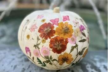 Petal Perfect Pumpkins