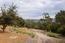 7572 Paseo Vista (Image 12)