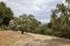 7572 Paseo Vista (Image 13)