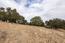 7572 Paseo Vista (Image 15)