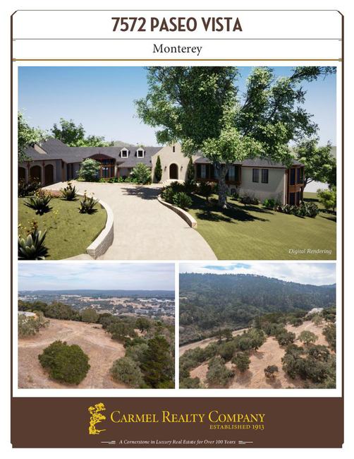Property Flyer