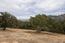 7572 Paseo Vista (Image 16)