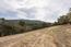 7572 Paseo Vista (Image 17)