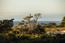 2927 Old 17 Mile Drive - SOLD (Image 18)