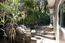 Luxury Homes in Carmel Valley (Image 11)