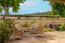 Luxury Houses for sale in Carmel (Image 6)