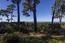 22 Ocean Pines Lane - SOLD (Image 25)