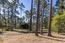 1424 Oleada Road - SOLD (Image 25)