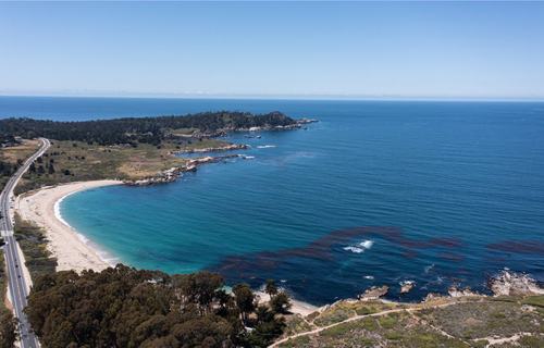 Monastery Beach, Carmel