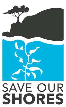 Save Our Shores