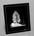 Steinbach 3D Crystal Pictures