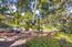 150 Shady Lane - SOLD (Image 2)
