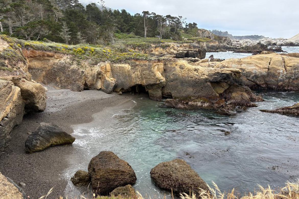 Image about Horizon Inn & Ocean View Lodge #216-1