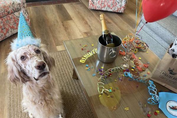 A Carmel Birthday Worth Remembering