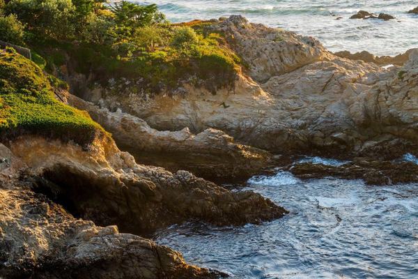 Beat the Crowds at Point Lobos