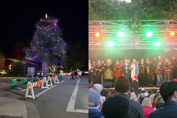 Christmas on Ocean Avenue