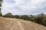 7572 Paseo Vista (Image 14)