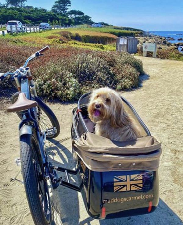 Image about Carmel-by-the-Sea, California #271-1