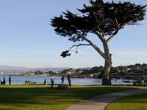 Image about Lovers Point Park & Beach