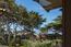 26314 Ocean View Avenue - SOLD (Image 16)