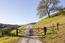 28000 Underwood Road (Image 3)