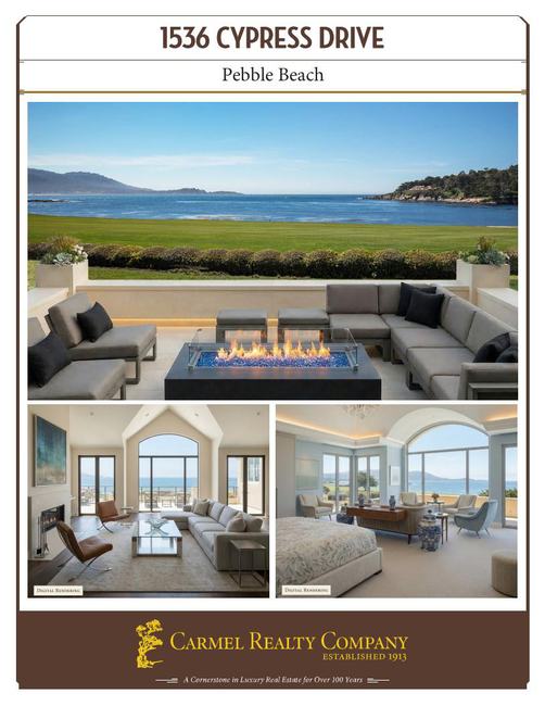 Property Flyer
